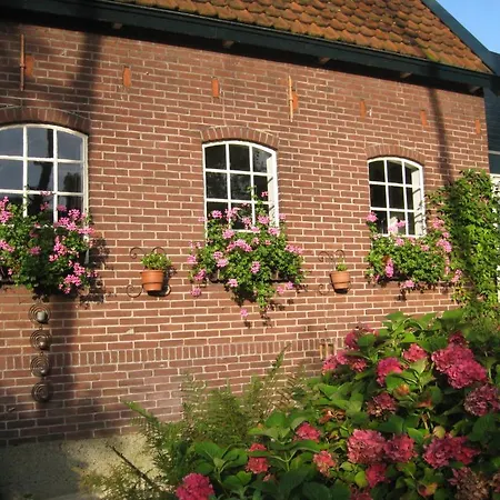 Janz * Capelle aan den IJssel