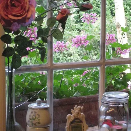 Janz Bed & Breakfast