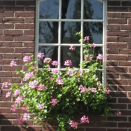Bed & Breakfast Janz *